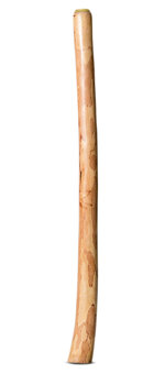 Medium Size Natural Finish Didgeridoo (TW1609)